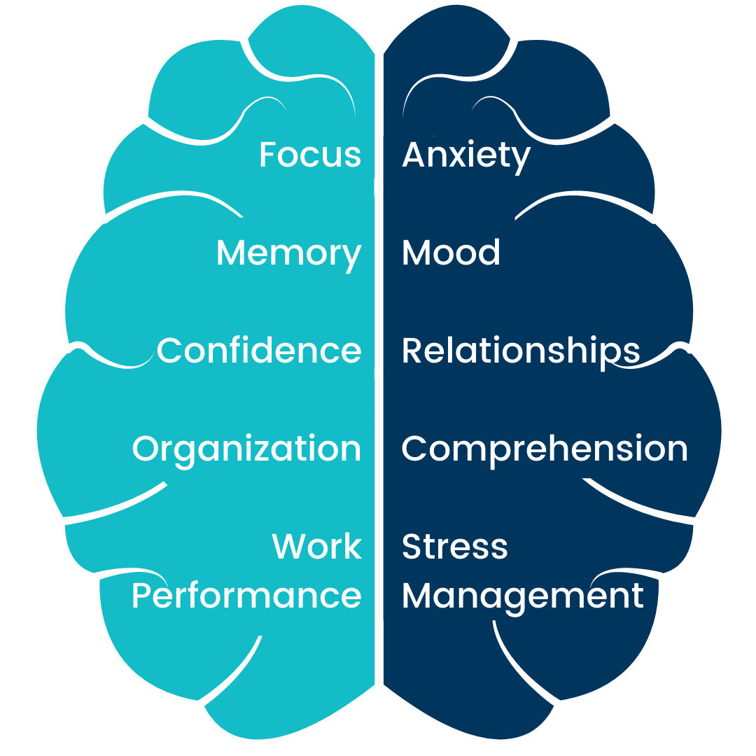 Brain Balance Program for Adults Brain Balance